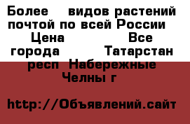Более200 видов растений почтой по всей России › Цена ­ 100-500 - Все города  »    . Татарстан респ.,Набережные Челны г.